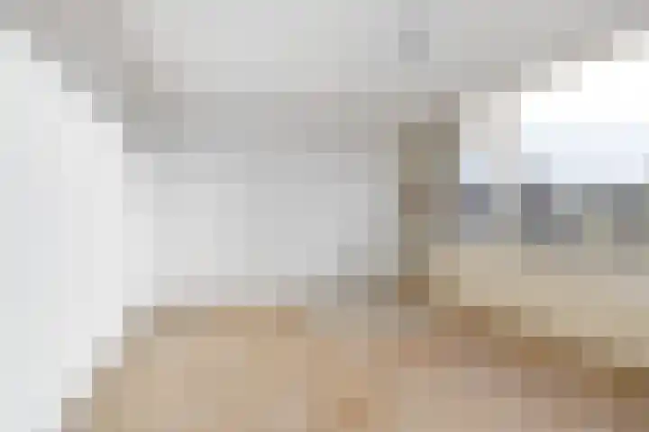 Bongweg 20 Hoogvliet Rotterdam thumbnail 15
