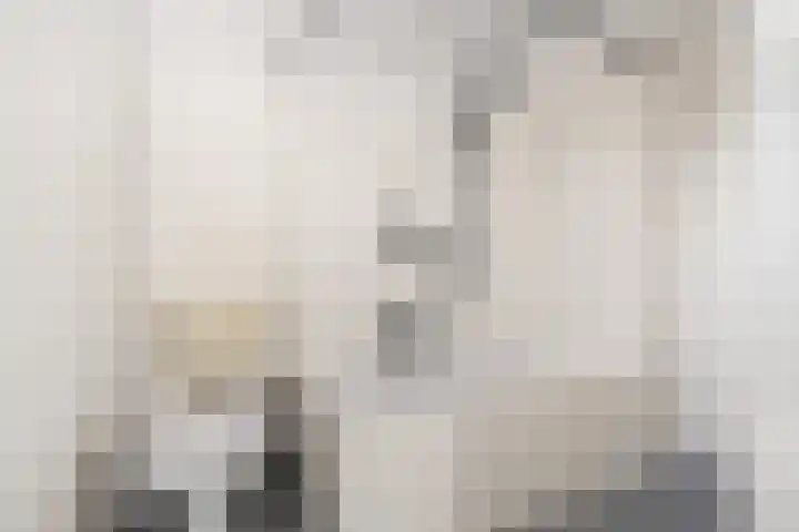 Bongweg 20 Hoogvliet Rotterdam thumbnail 17
