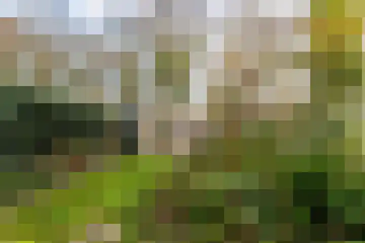 Bongweg 20 Hoogvliet Rotterdam thumbnail 24