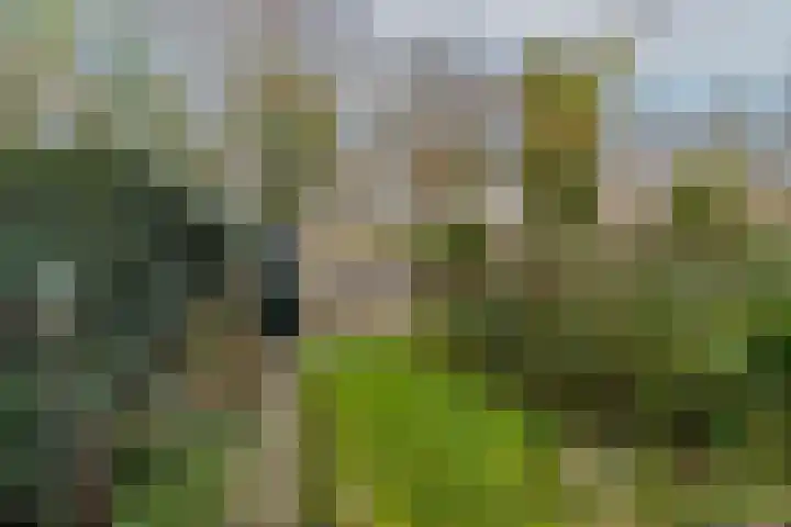 Bongweg 20 Hoogvliet Rotterdam thumbnail 25