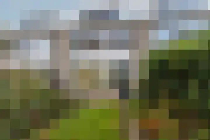 Bongweg 20 Hoogvliet Rotterdam thumbnail 26