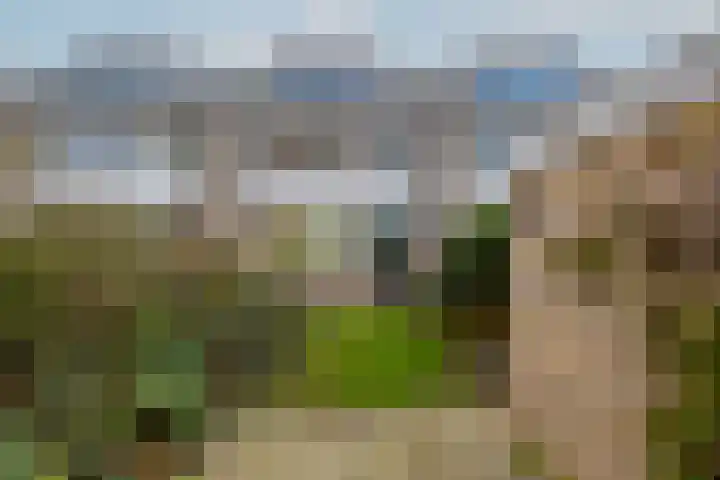 Bongweg 20 Hoogvliet Rotterdam thumbnail 27