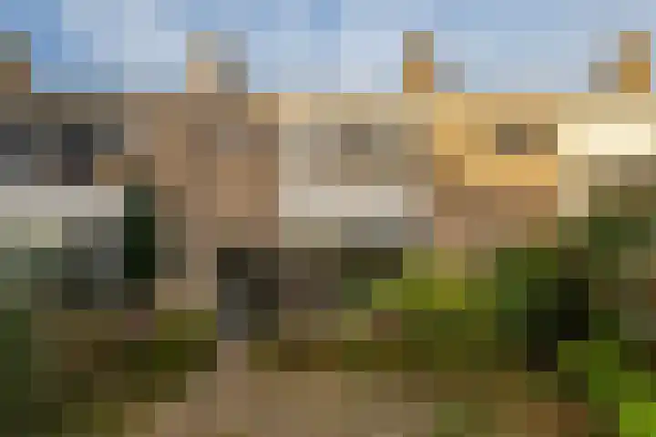 Bongweg 20 Hoogvliet Rotterdam thumbnail 28