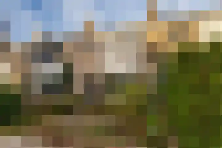 Bongweg 20 Hoogvliet Rotterdam thumbnail 30