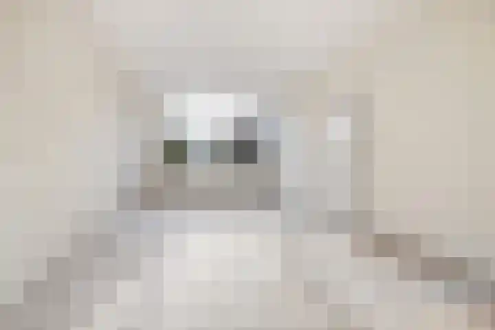 Bongweg 20 Hoogvliet Rotterdam thumbnail 4