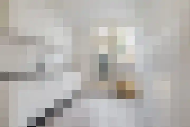 Bongweg 20 Hoogvliet Rotterdam thumbnail 7