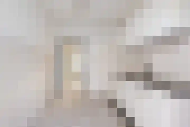 Bongweg 20 Hoogvliet Rotterdam thumbnail 8