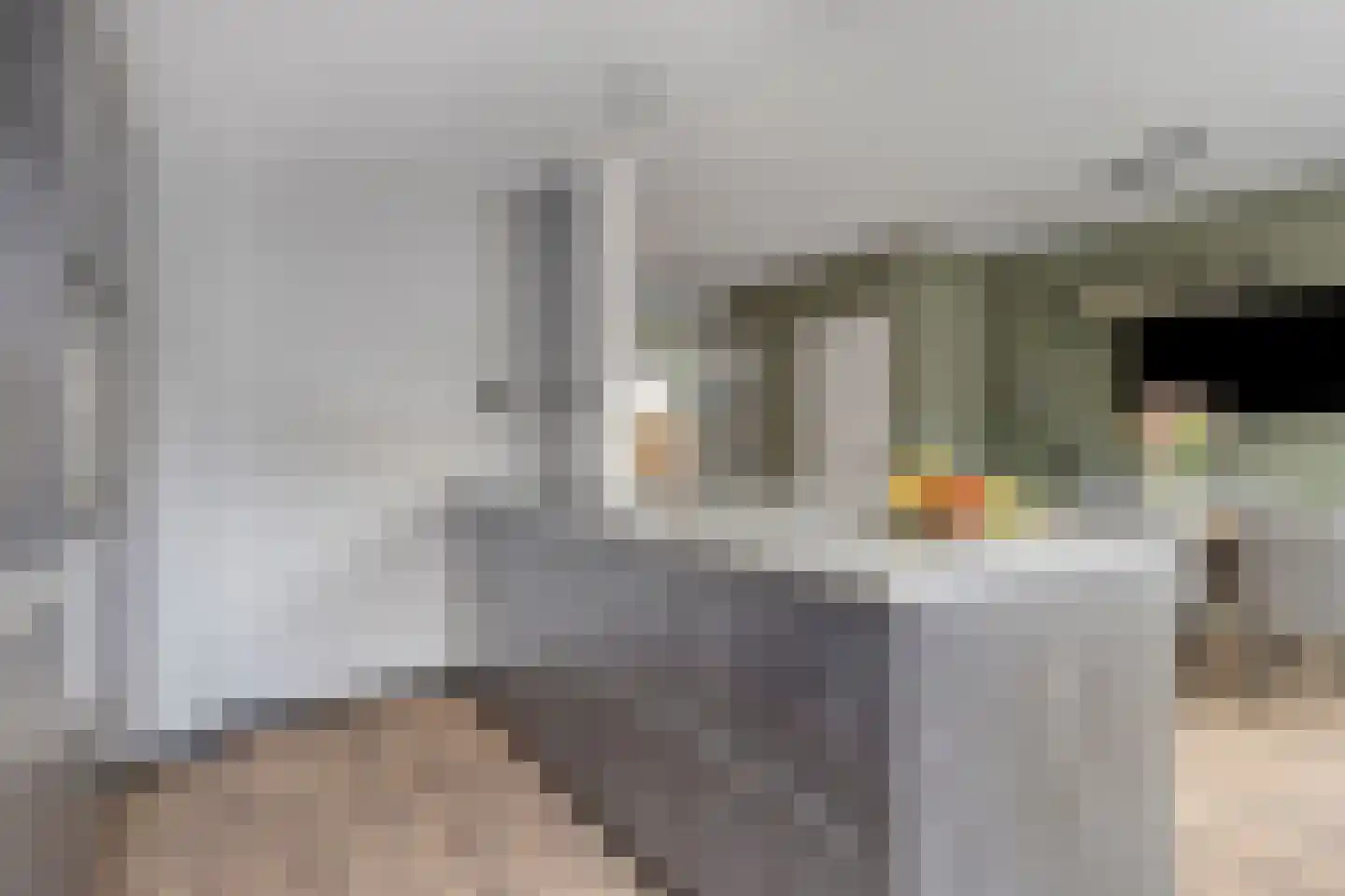 Bongweg 244 Hoogvliet Rotterdam thumbnail 13