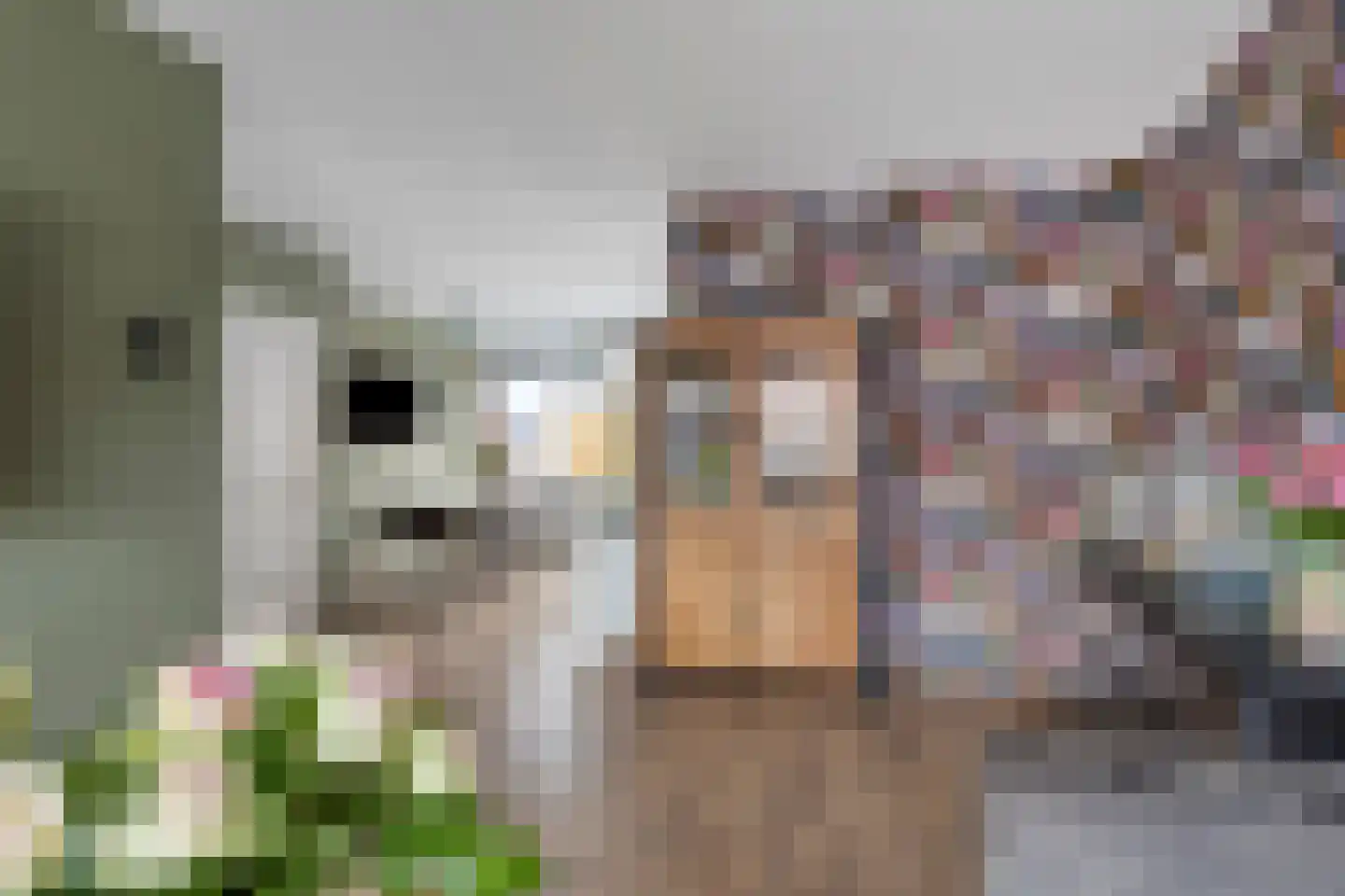 Bongweg 244 Hoogvliet Rotterdam thumbnail 9