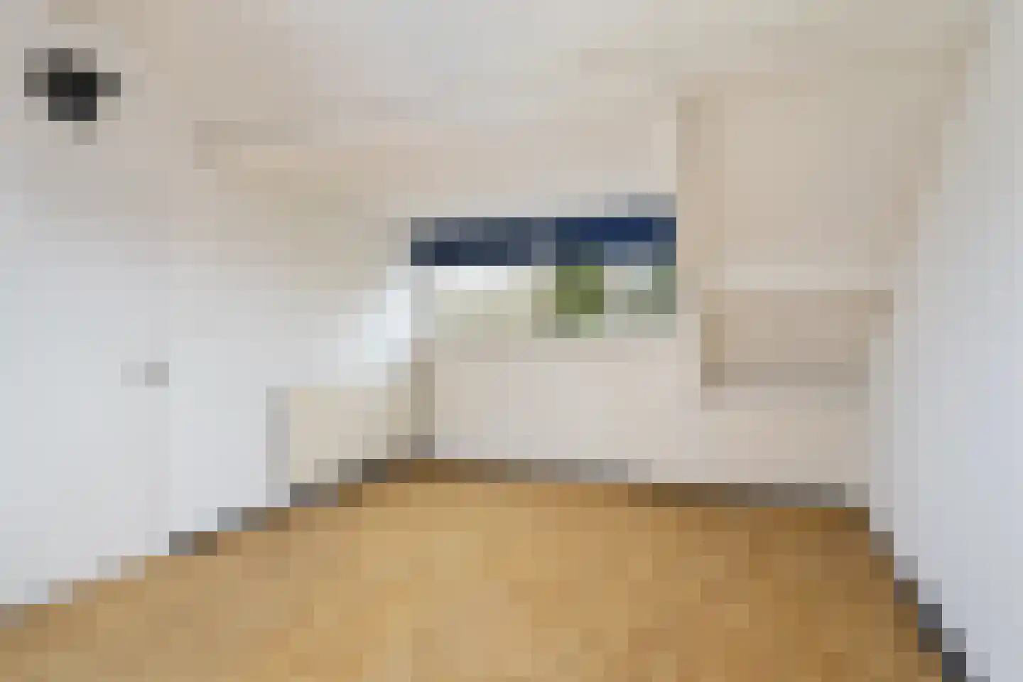 Bongweg 38 Hoogvliet Rotterdam thumbnail 25
