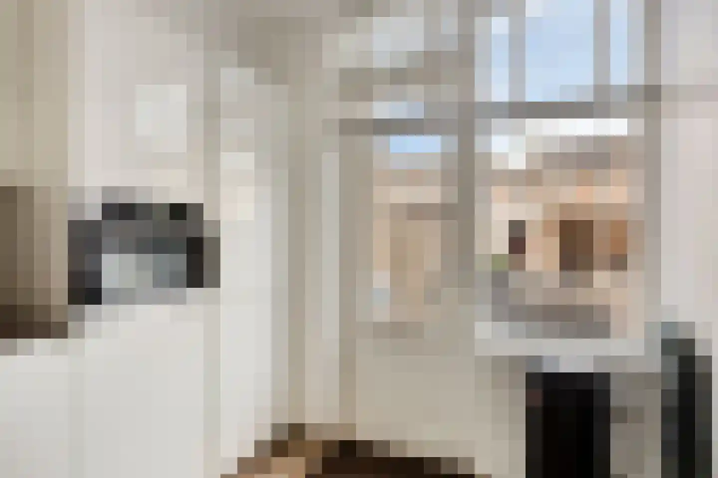 Bongweg 8 Hoogvliet Rotterdam thumbnail 11