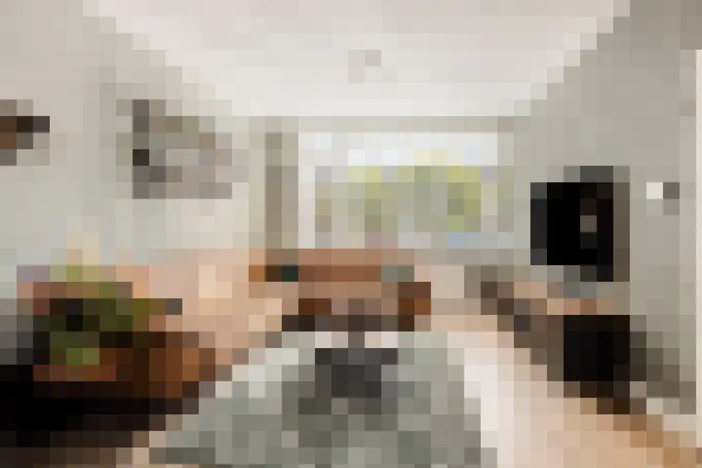 Bongweg 8 Hoogvliet Rotterdam thumbnail 6