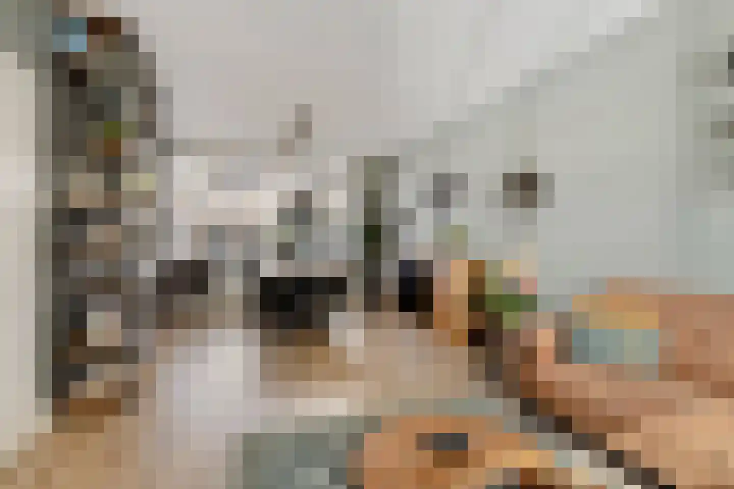 Bongweg 8 Hoogvliet Rotterdam thumbnail 7
