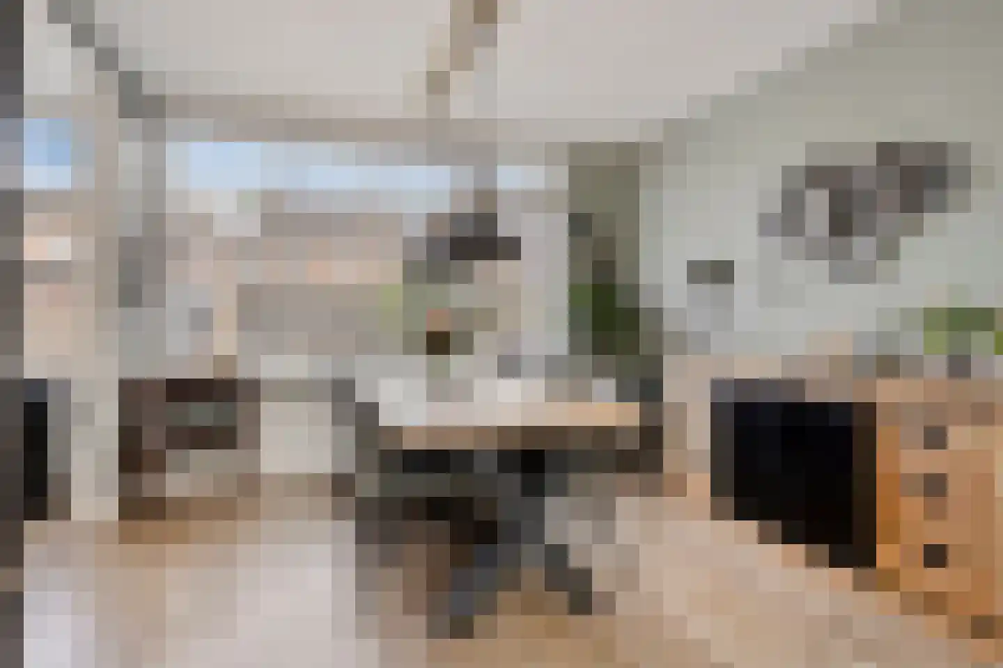 Bongweg 8 Hoogvliet Rotterdam thumbnail 8