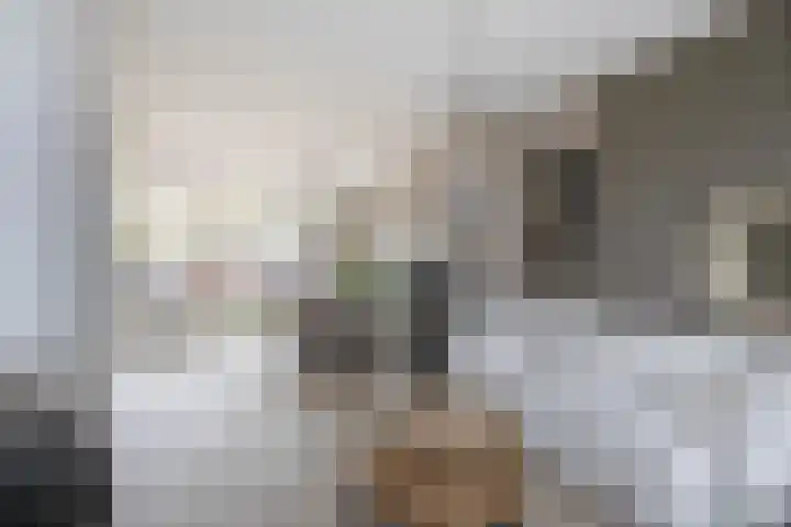 Bongweg 80 Hoogvliet Rotterdam thumbnail 10