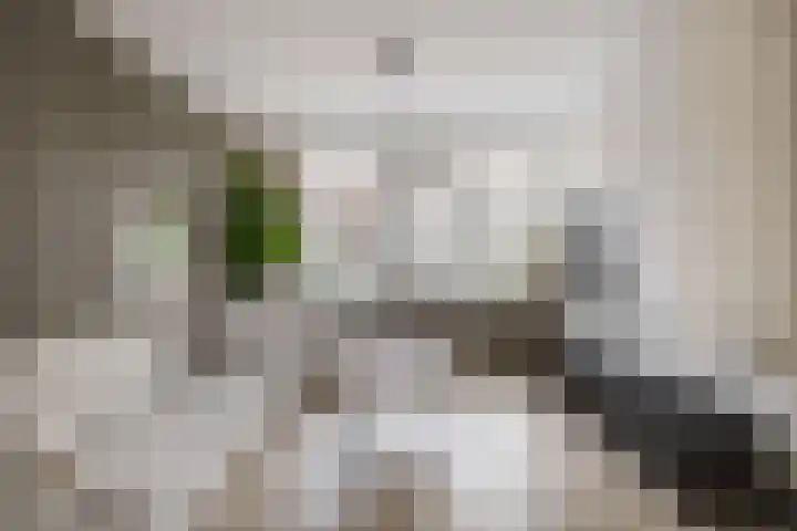 Bongweg 80 Hoogvliet Rotterdam thumbnail 11