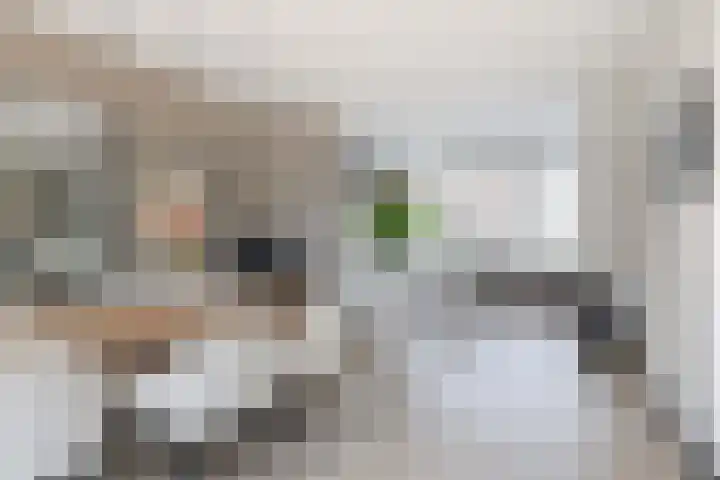 Bongweg 80 Hoogvliet Rotterdam thumbnail 13