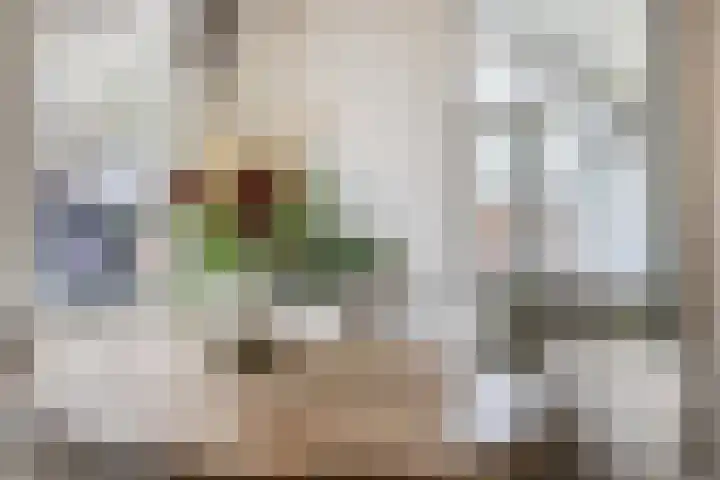 Bongweg 80 Hoogvliet Rotterdam thumbnail 15