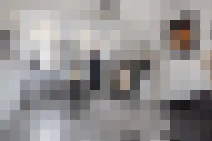 Bongweg 80 Hoogvliet Rotterdam thumbnail 32