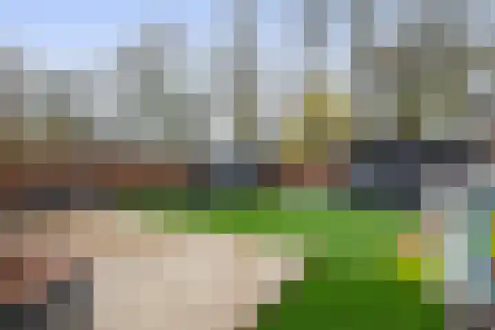 Bongweg 80 Hoogvliet Rotterdam thumbnail 34