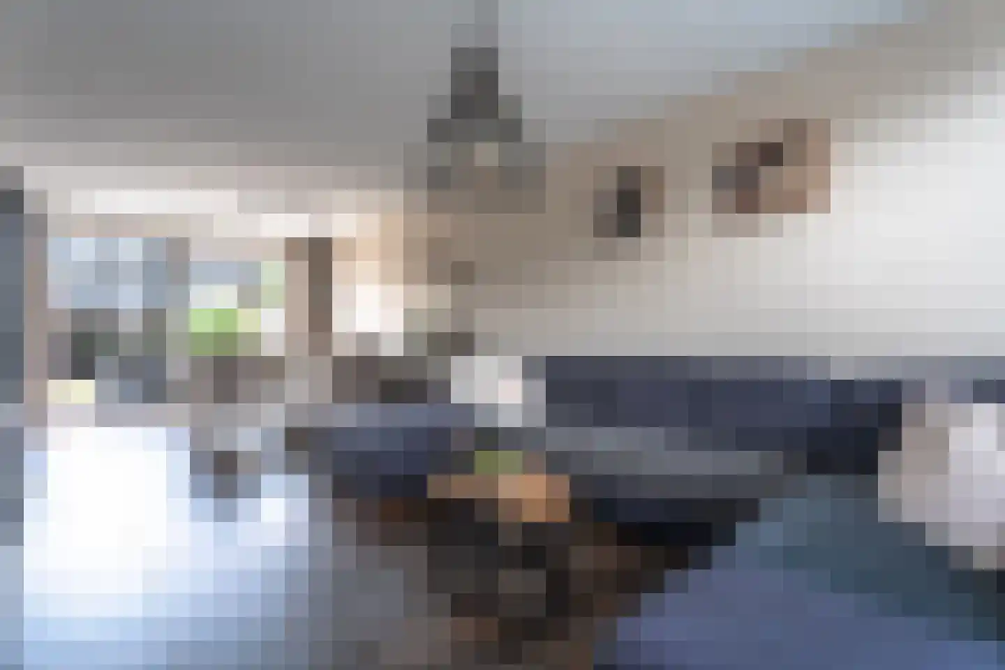 Bongweg 91 Hoogvliet Rotterdam thumbnail 12
