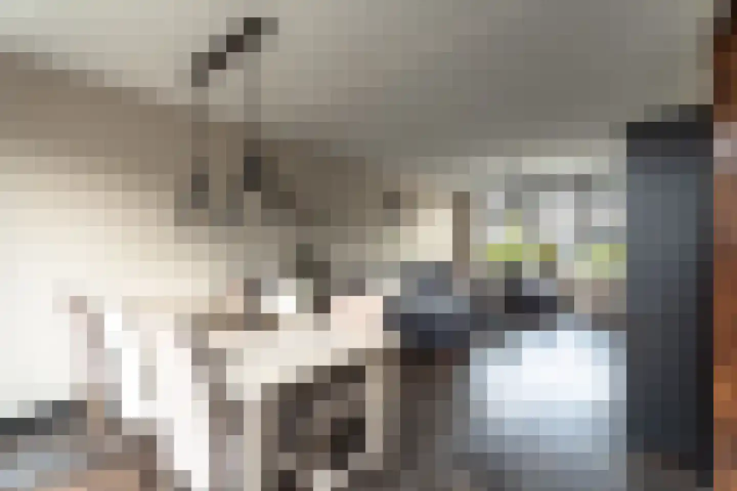 Bongweg 91 Hoogvliet Rotterdam thumbnail 13