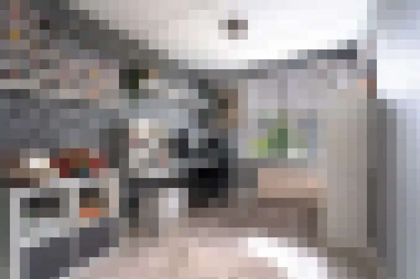 Bongweg 91 Hoogvliet Rotterdam thumbnail 29
