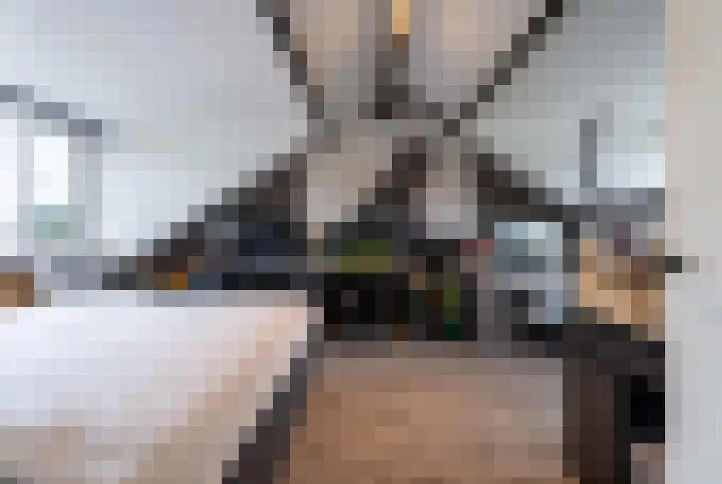 Bongweg 91 Hoogvliet Rotterdam thumbnail 36