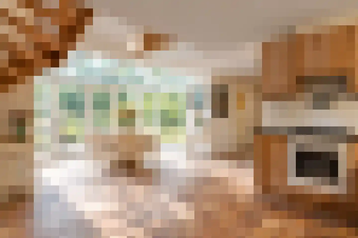 Bonhagen K 22 Norg thumbnail 12