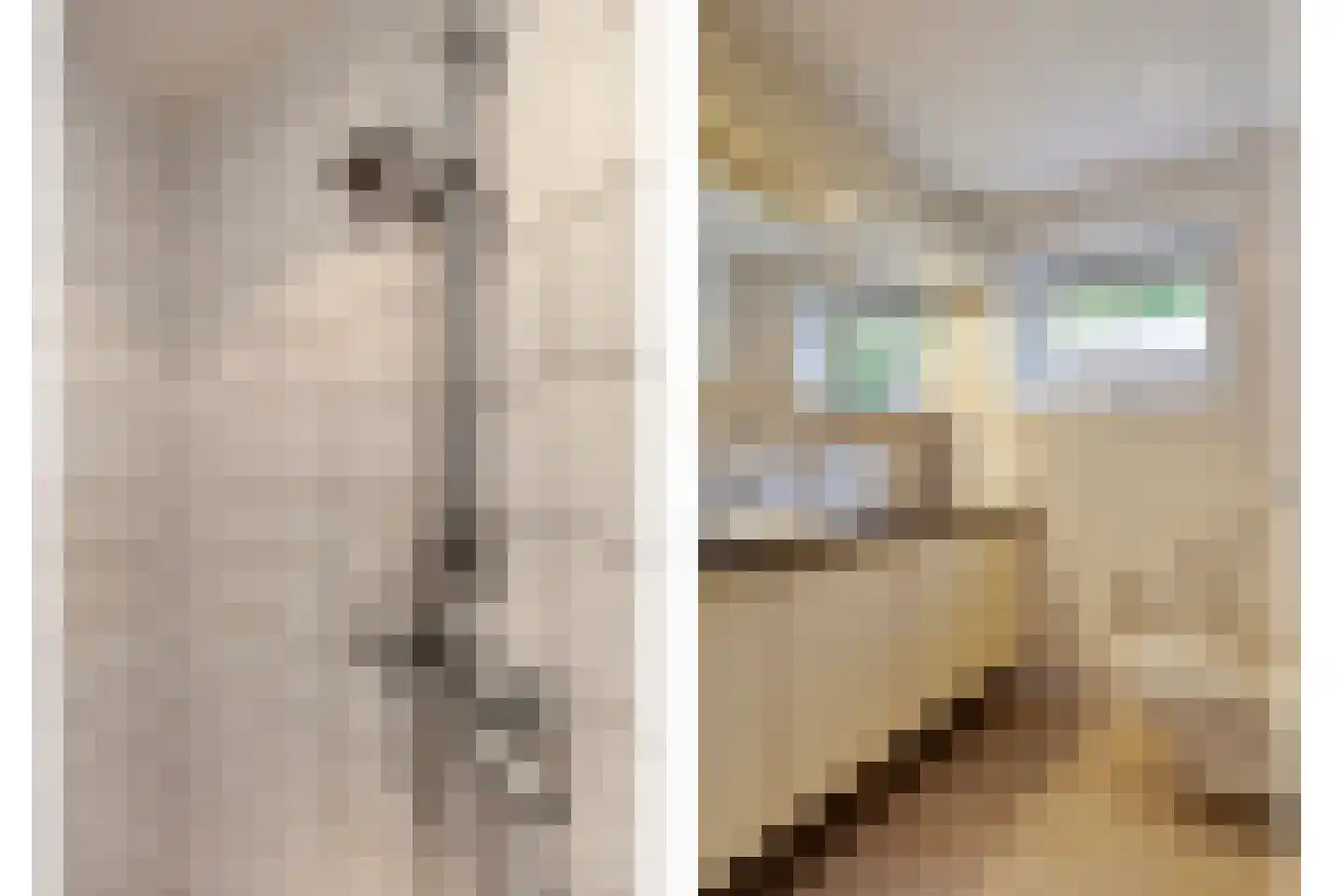 Bonhagen K 22 Norg thumbnail 17