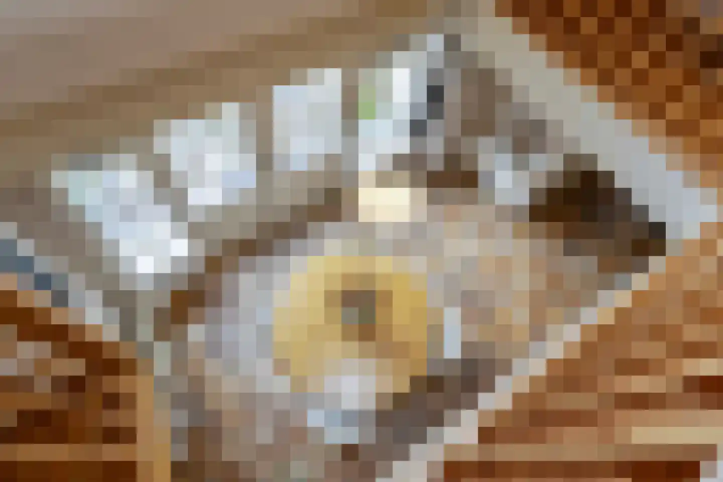 Bonhagen K 22 Norg thumbnail 20
