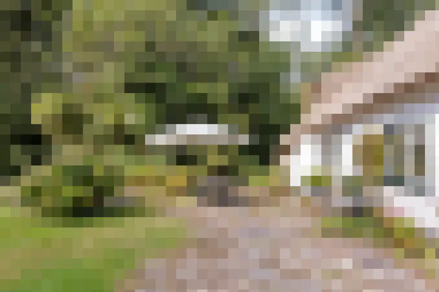 Bonhagen K 22 Norg thumbnail 30