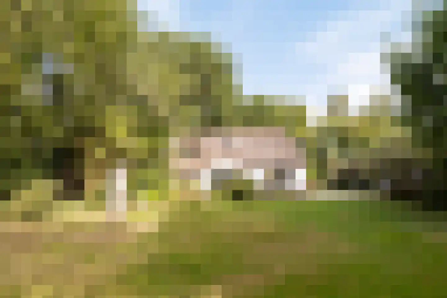 Bonhagen K 22 Norg thumbnail 33