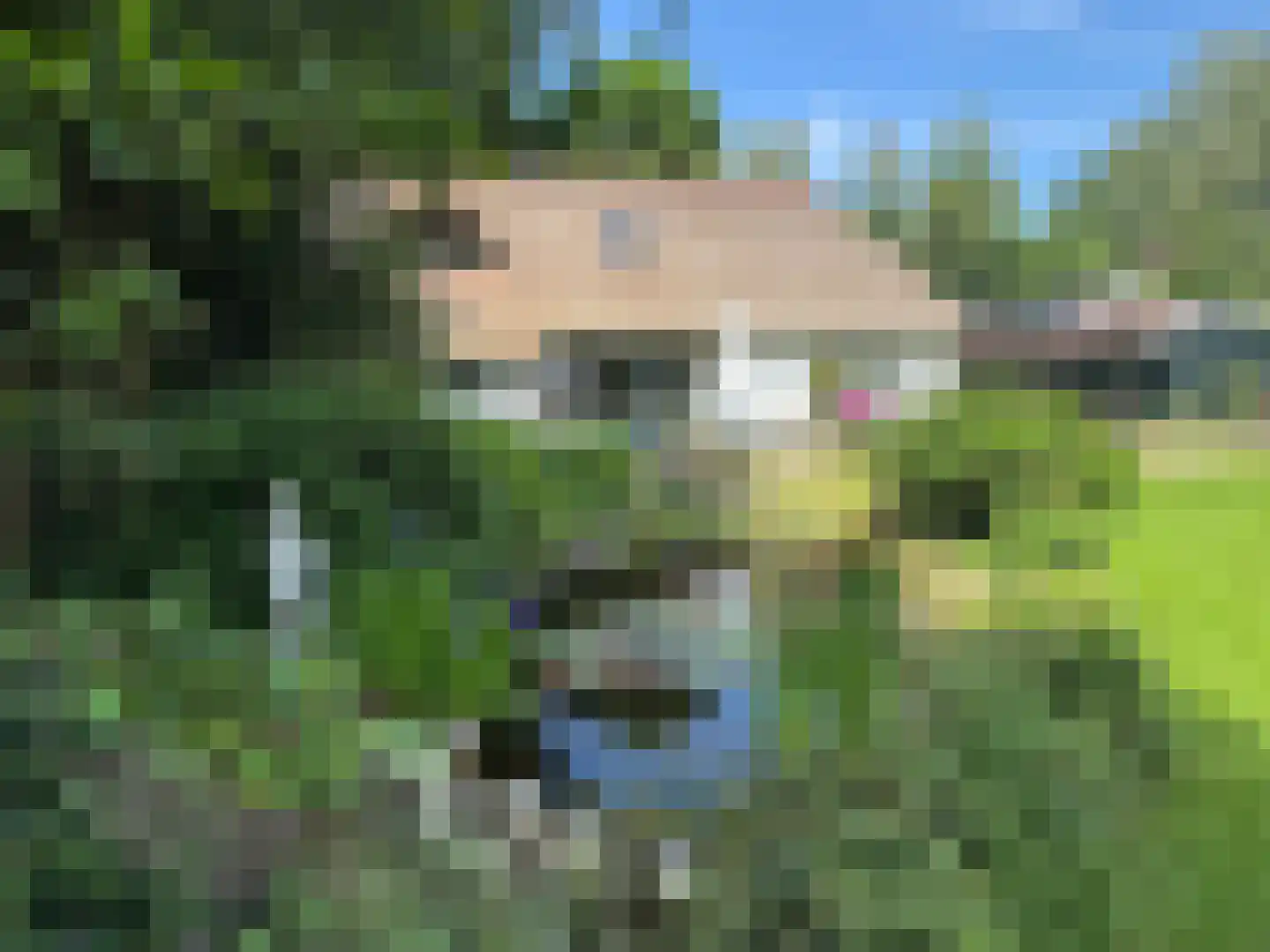 Bonhagen K 22 Norg thumbnail 34