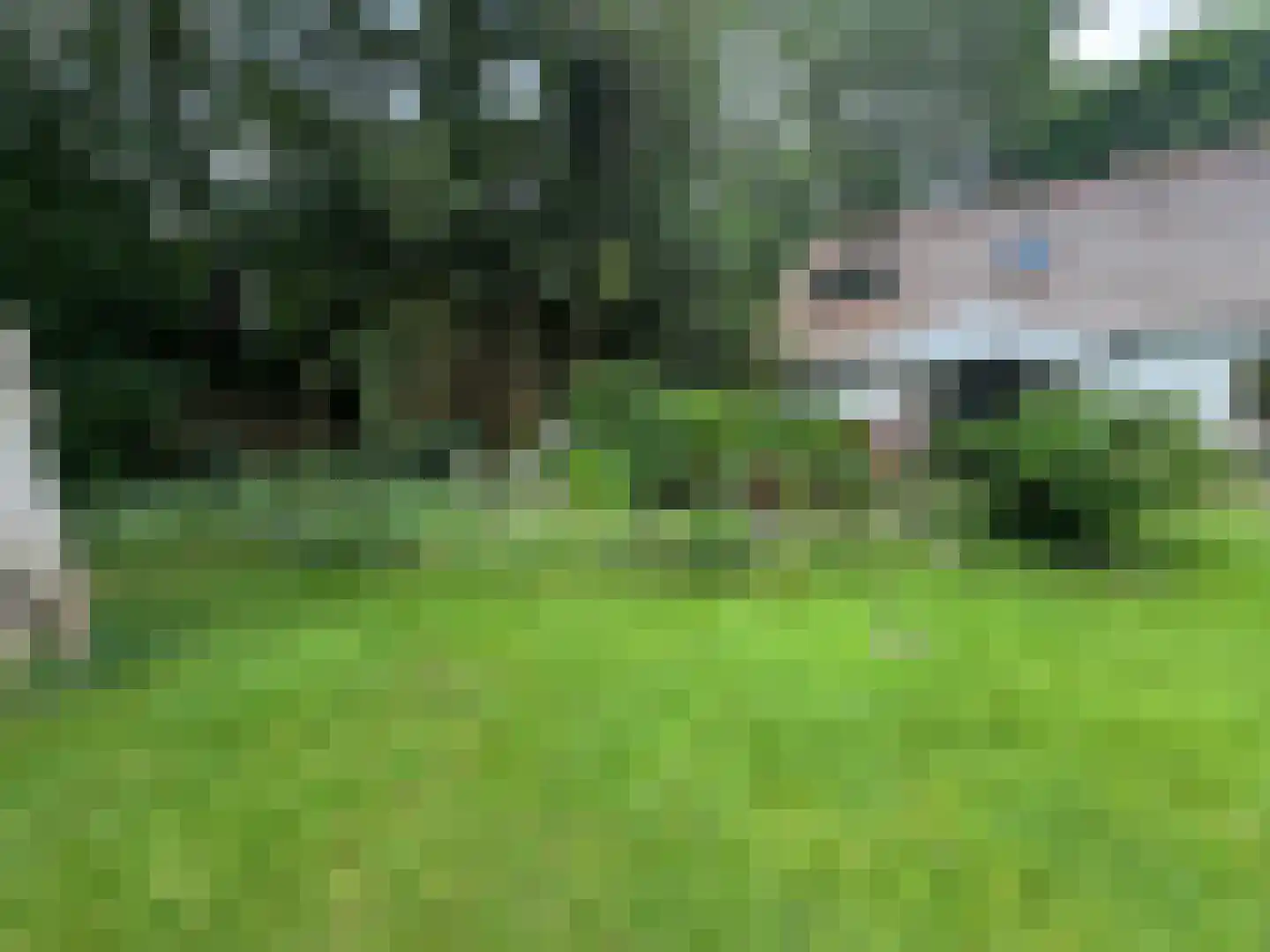 Bonhagen K 22 Norg thumbnail 35