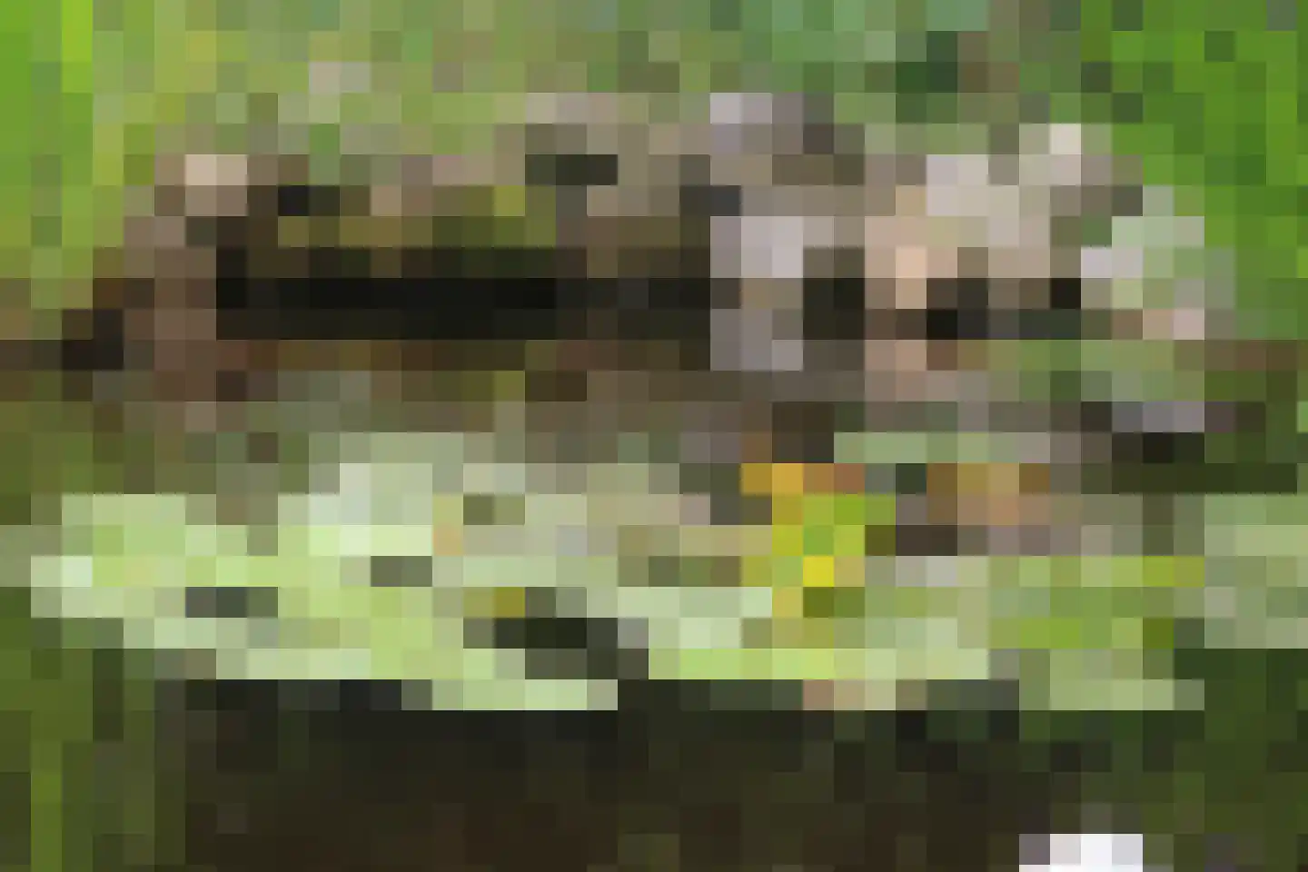 Bonhagen K 22 Norg thumbnail 36