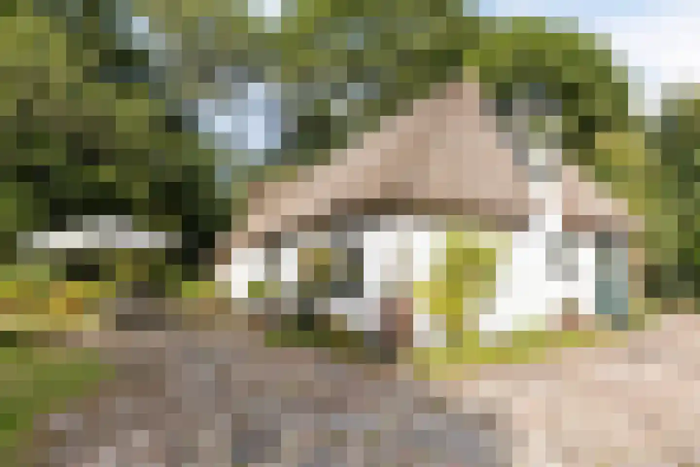 Bonhagen K 22 Norg thumbnail 38