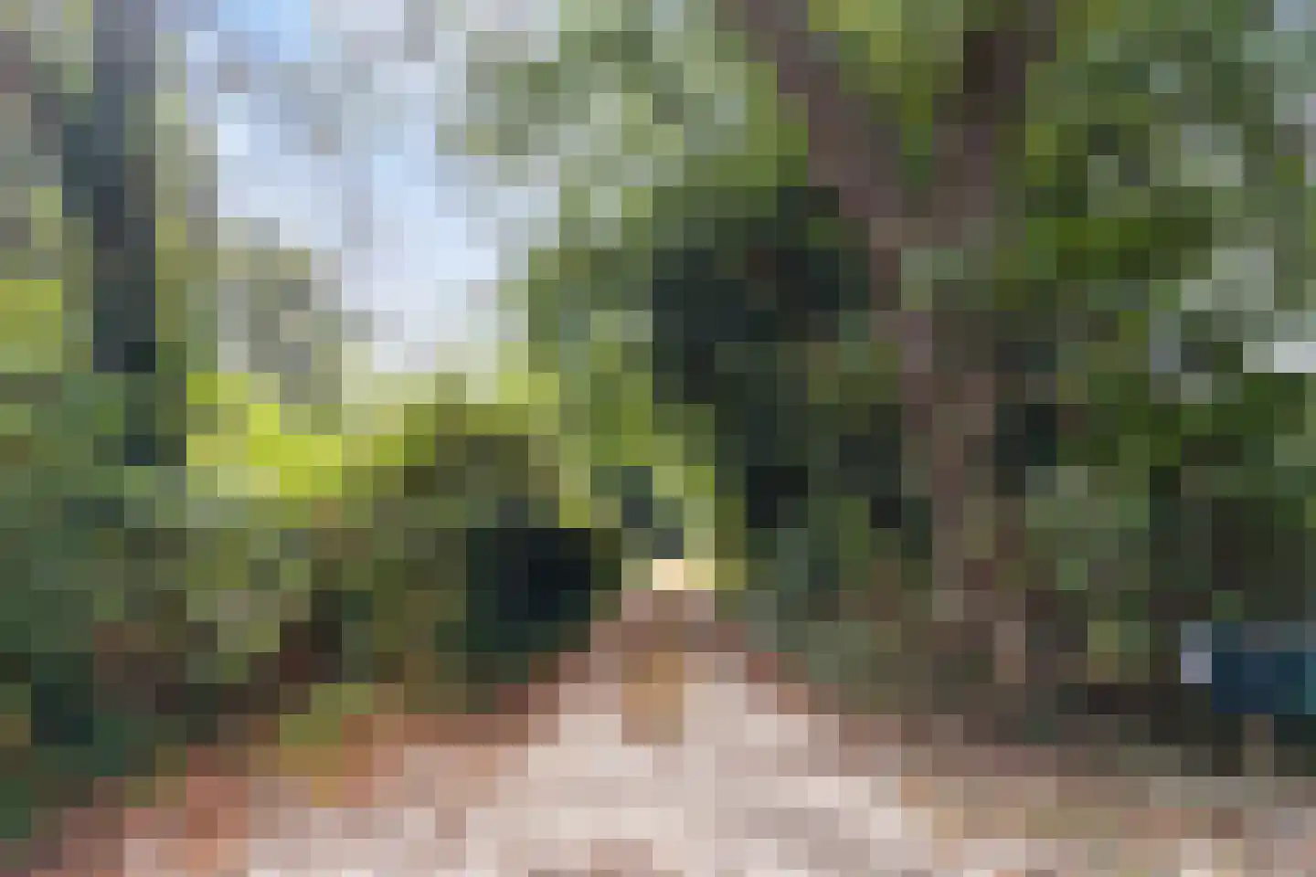 Bonhagen K 22 Norg thumbnail 47