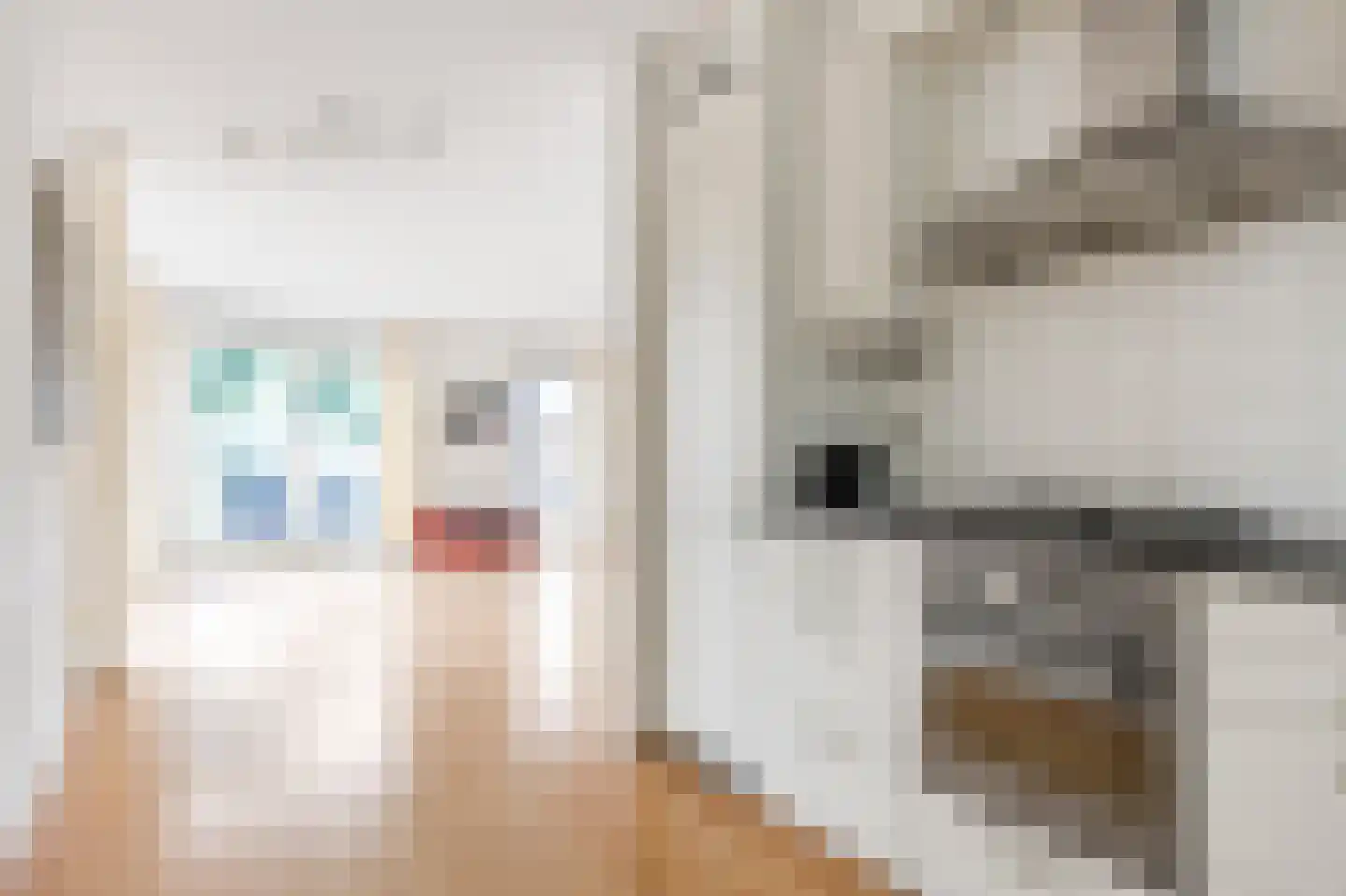 Bonhoefferstraat 2 Groningen thumbnail 16