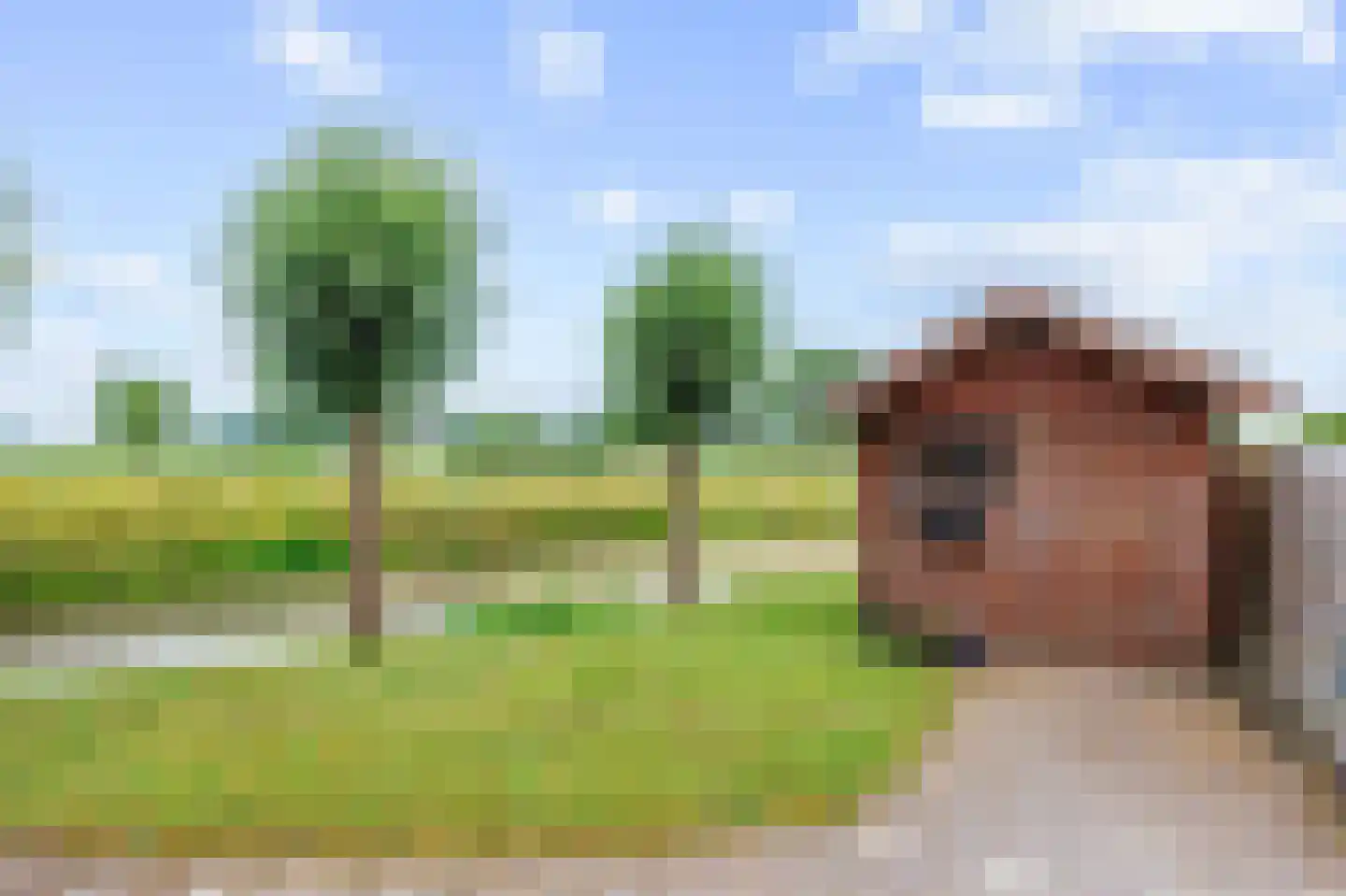 Bonhoefferstraat 2 Groningen thumbnail 31