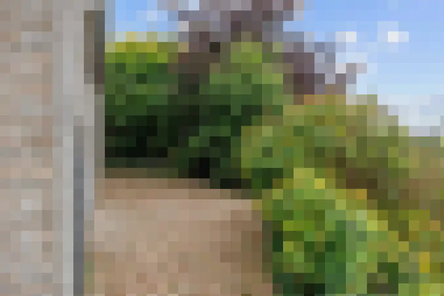 Bonhoefferstraat 2 Groningen thumbnail 35