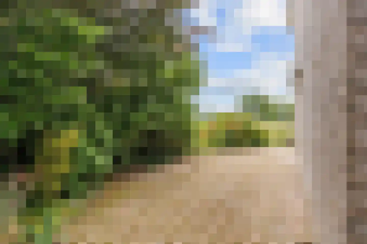 Bonhoefferstraat 2 Groningen thumbnail 36