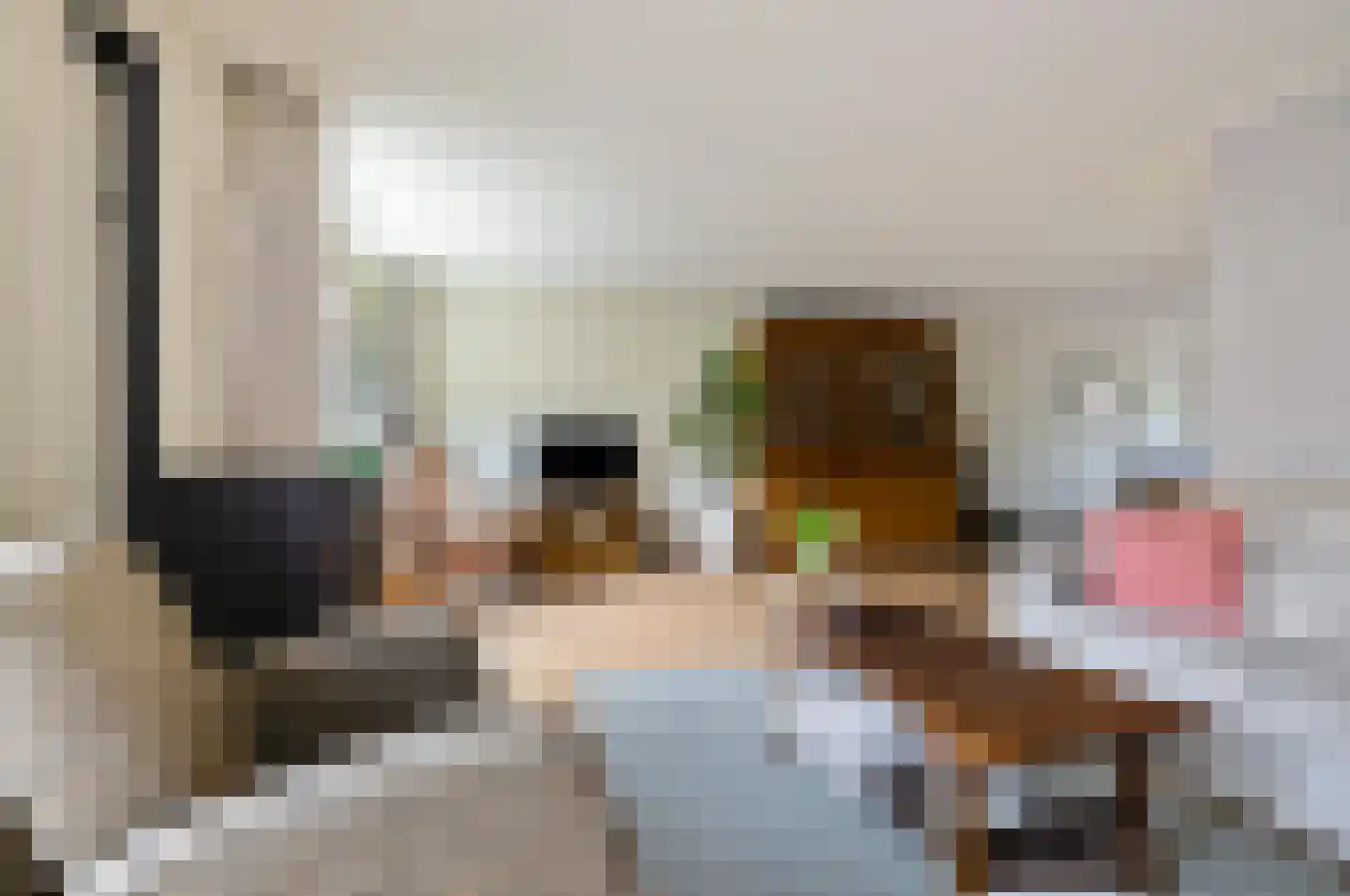 Bonhoefferstraat 30 Groningen thumbnail 13