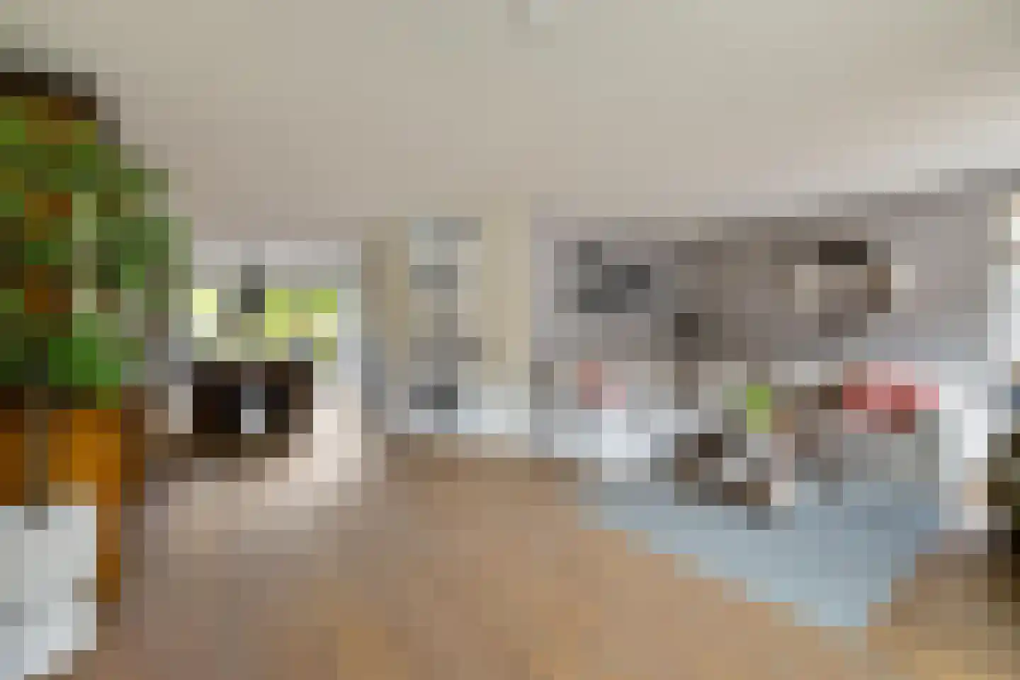 Bonhoefferstraat 30 Groningen thumbnail 15