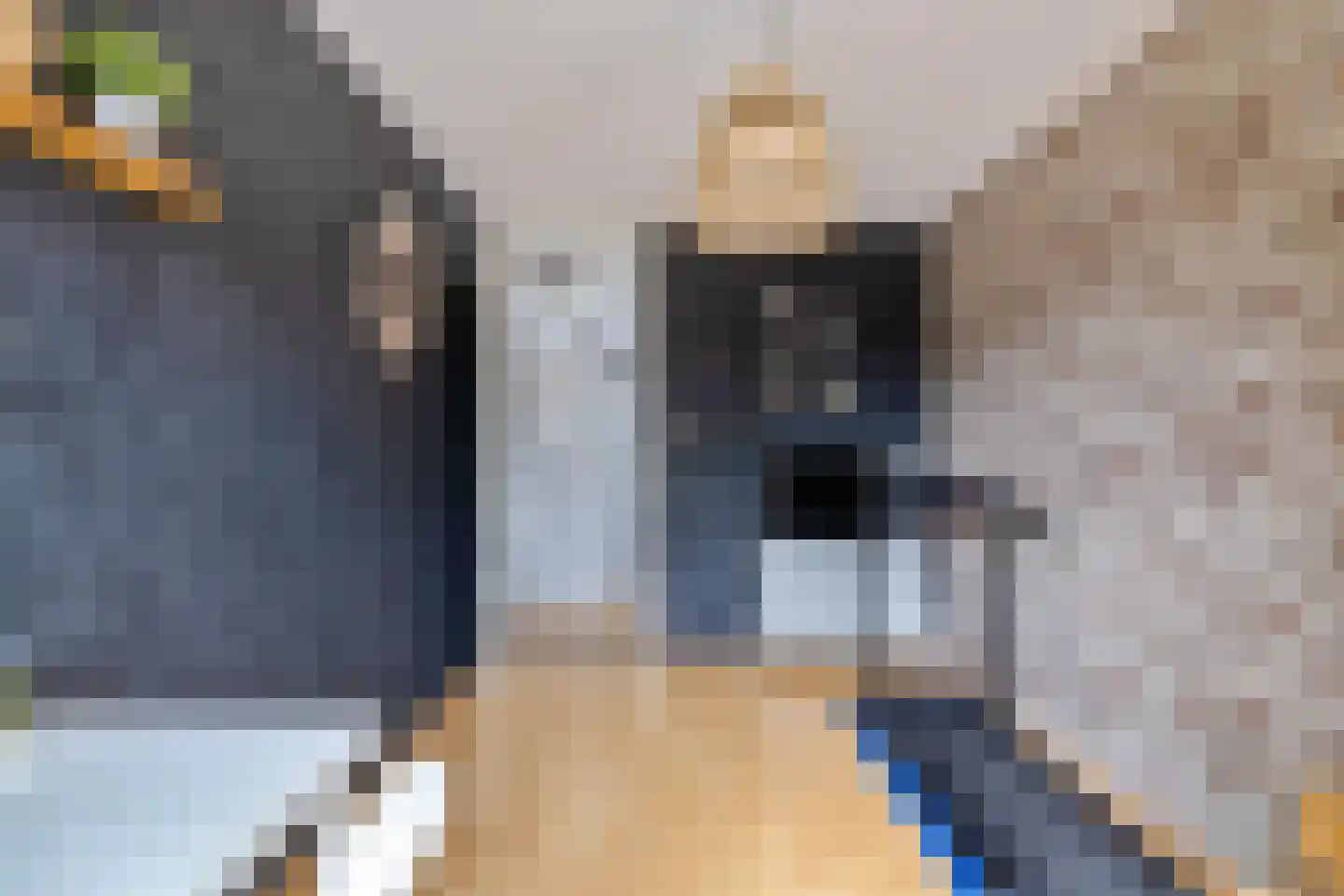 Bonhoefferstraat 30 Groningen thumbnail 25