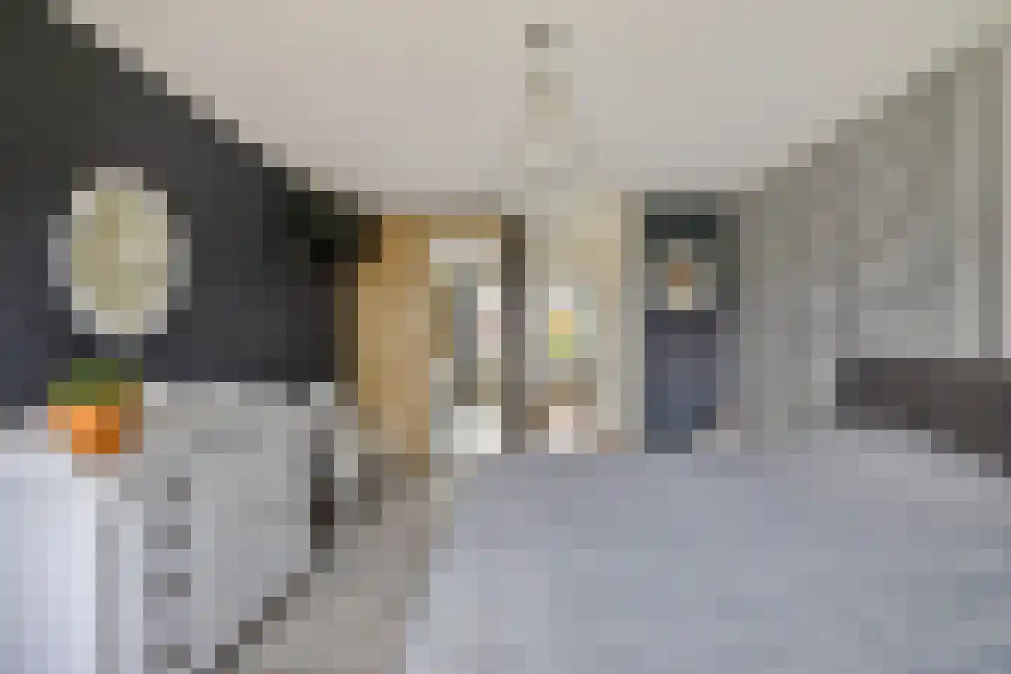 Bonhoefferstraat 30 Groningen thumbnail 27