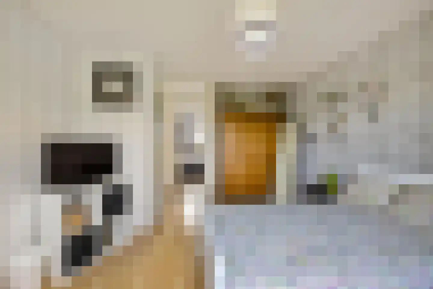 Bonhoefferstraat 30 Groningen thumbnail 29