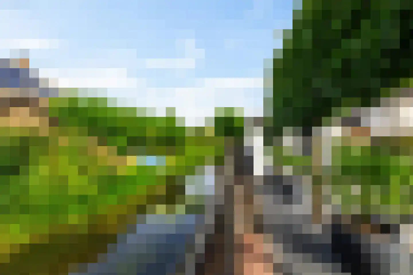 Bonhoefferstraat 30 Groningen thumbnail 51