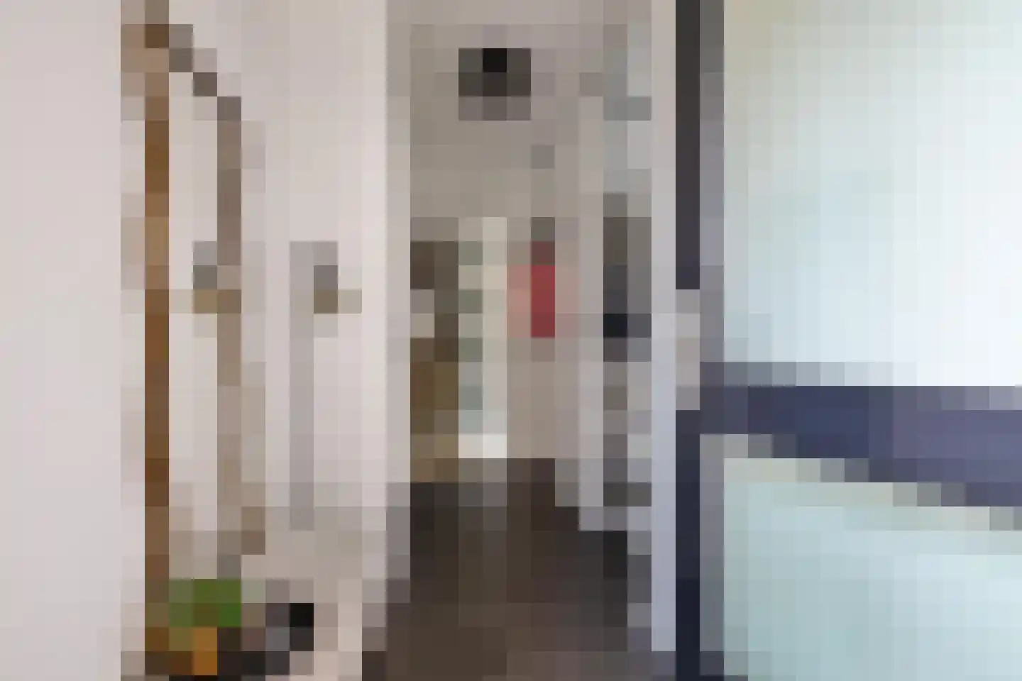 Bonhoefferstraat 30 Groningen thumbnail 7