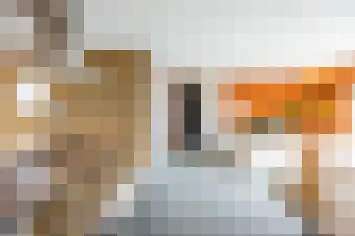 Bonhoefferstraat 39 Groningen thumbnail 11